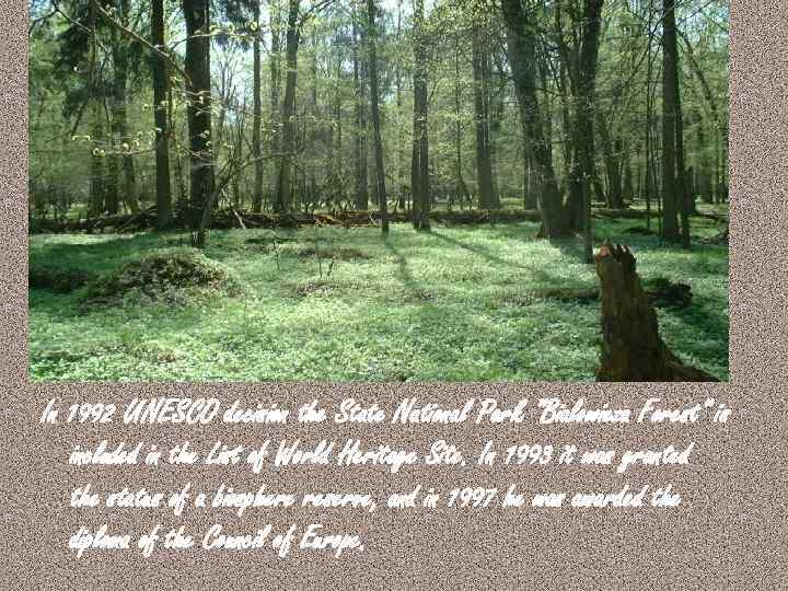 In 1992 UNESCO decision the State National Park "Bialowieza Forest" is included in the