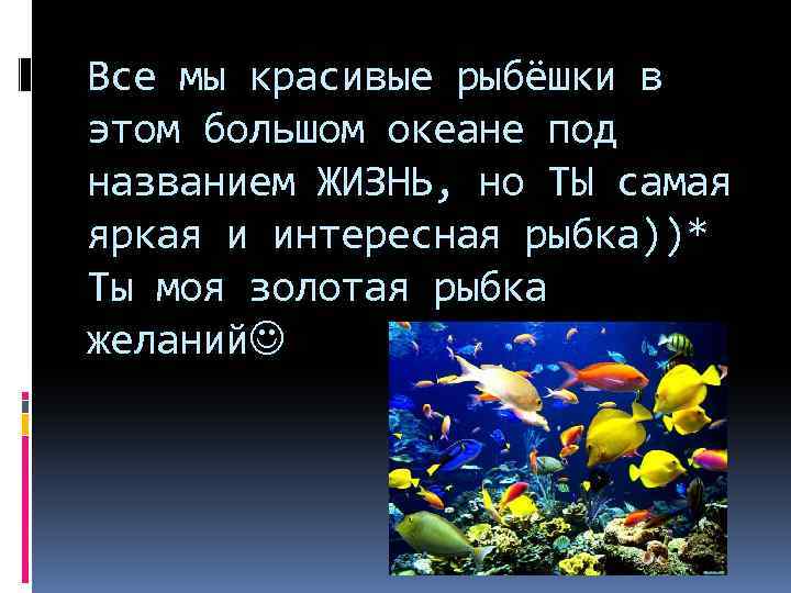 Все мы красивые рыбёшки в этом большом океане под названием ЖИЗНЬ, но ТЫ самая