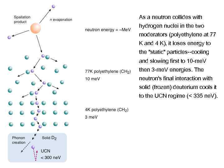 As a neutron collides with hydrogen nuclei in the two moderators (polyethylene at 77