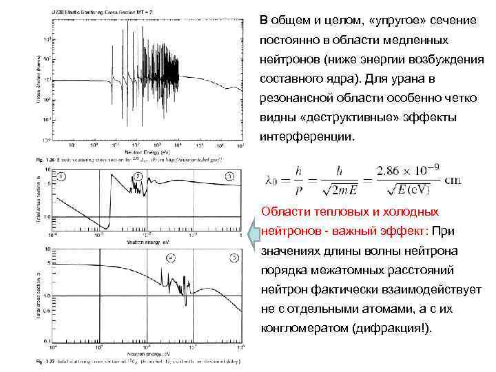 В общем и целом, «упругое» сечение постоянно в области медленных нейтронов (ниже энергии возбуждения