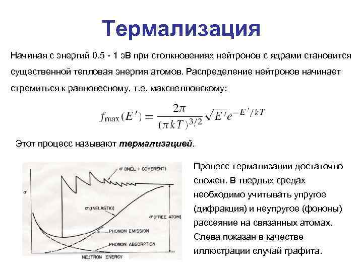 Термализация Начиная с энергий 0. 5 - 1 э. В при столкновениях нейтронов с