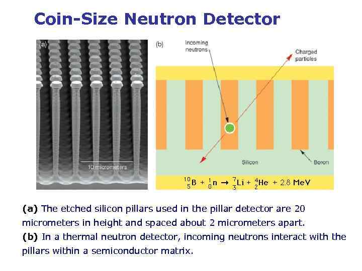 Coin-Size Neutron Detector (a) The etched silicon pillars used in the pillar detector are