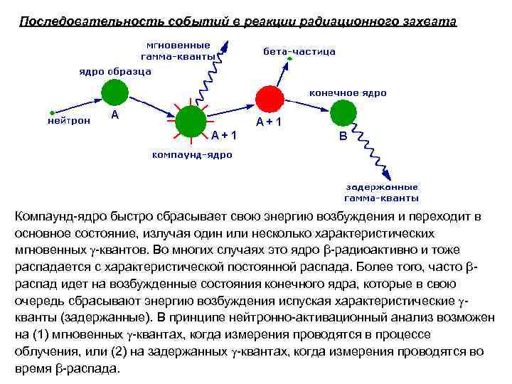 Последовательность событий в реакции радиационного захвата Компаунд-ядро быстро сбрасывает свою энергию возбуждения и переходит