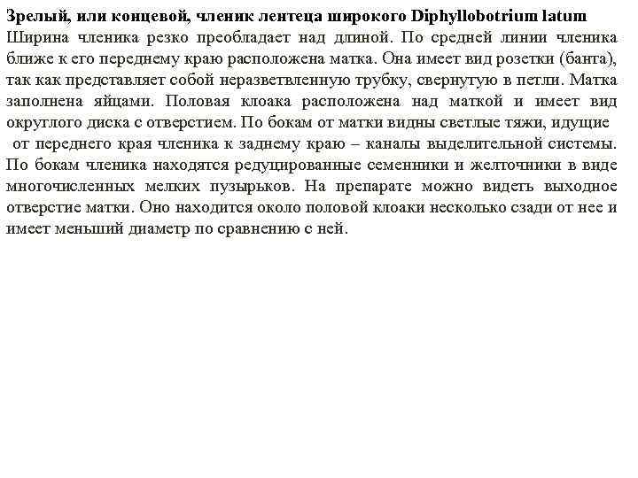 Зрелый, или концевой, членик лентеца широкого Diphyllobotrium latum Ширина членика резко преобладает над длиной.