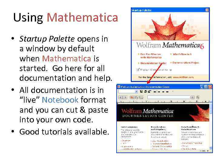 Using Mathematica • Startup Palette opens in a window by default when Mathematica is