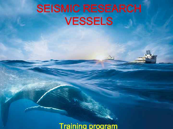 SEISMIC RESEARCH VESSELS Training program 