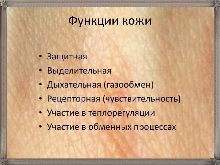 Функции кожи 