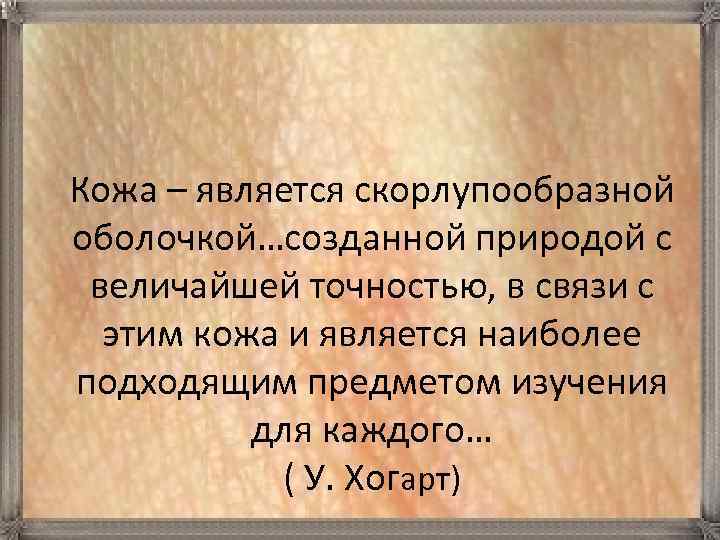 Кожа – является скорлупообразной оболочкой…созданной природой с величайшей точностью, в связи с этим кожа