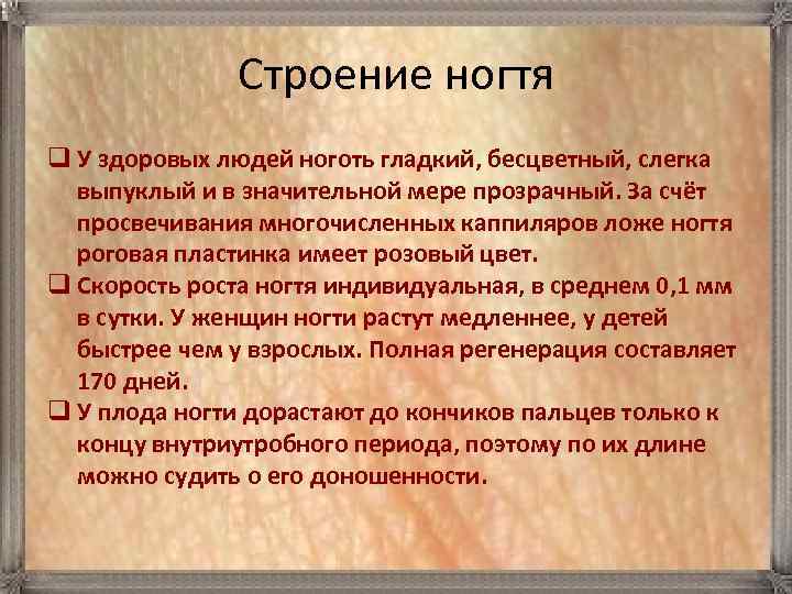 Строение ногтя q У здоровых людей ноготь гладкий, бесцветный, слегка выпуклый и в значительной