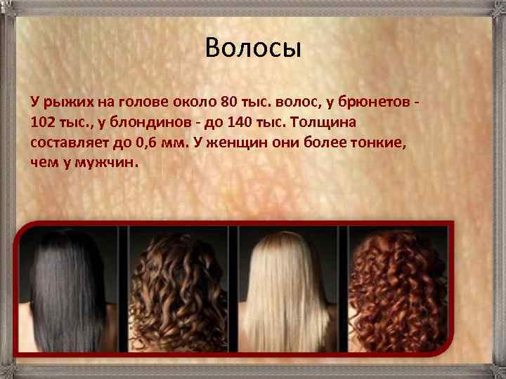 Волосы У рыжих на голове около 80 тыс. волос, у брюнетов - 102 тыс.