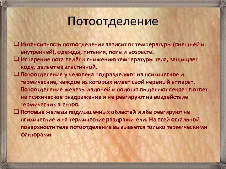Потоотделение q Интенсивность потоотделения зависит от температуры (внешней и внутренней), одежды, питания, пола и