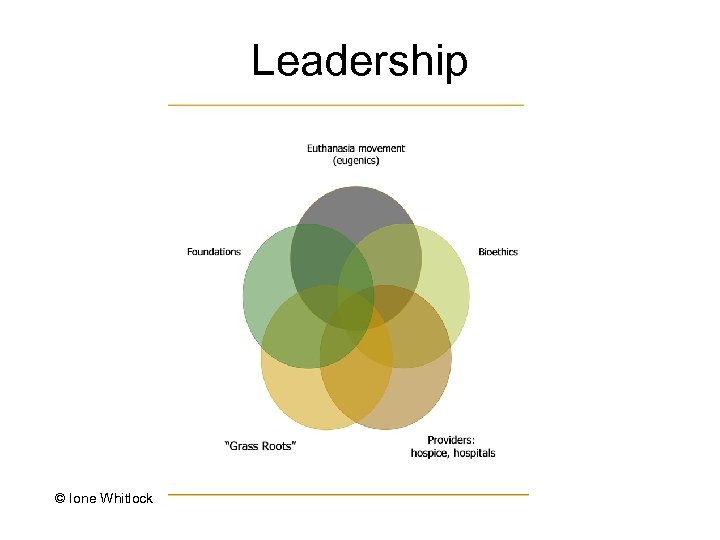 Leadership © Ione Whitlock 