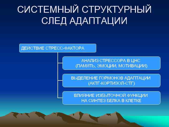 СИСТЕМНЫЙ СТРУКТУРНЫЙ СЛЕД АДАПТАЦИИ ДЕЙСТВИЕ СТРЕСС-ФАКТОРА АНАЛИЗ СТРЕССОРА В ЦНС (ПАМЯТЬ, ЭМОЦИИ, МОТИВАЦИИ) ВЫДЕЛЕНИЕ