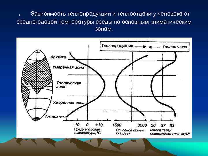 . Зависимость теплопродукции и теплоотдачи у человека от среднегодовой температуры среды по основным климатическим