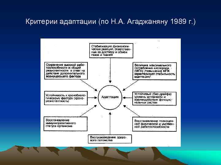 Критерии адаптации (по Н. А. Агаджаняну 1989 г. ) 