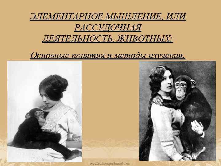 Элементарная мысль. Рассудочная деятельность картинки. Отличительные черты рассудочной деятельности. Сообщение на тему рассудочная деятельность человека.. Рассудочная деятельность отличительные черты значение примеры.