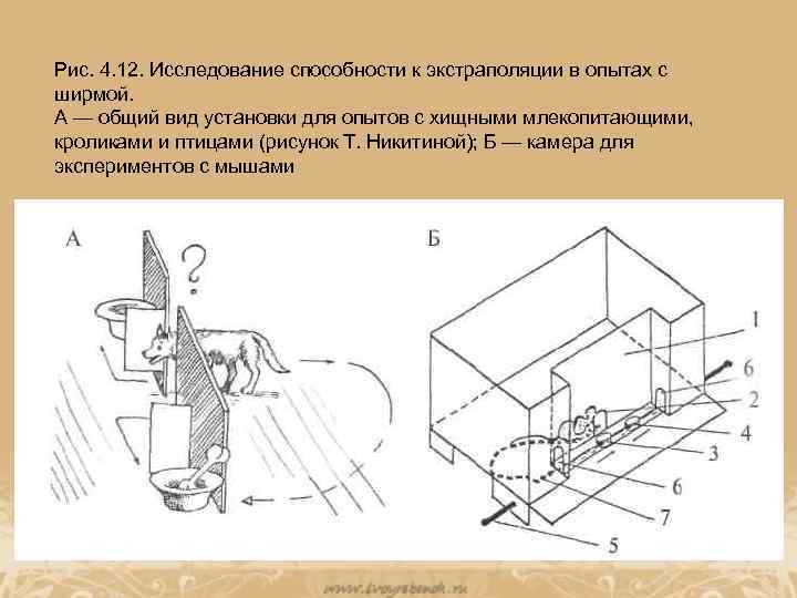 Рассудочная деятельность картинки