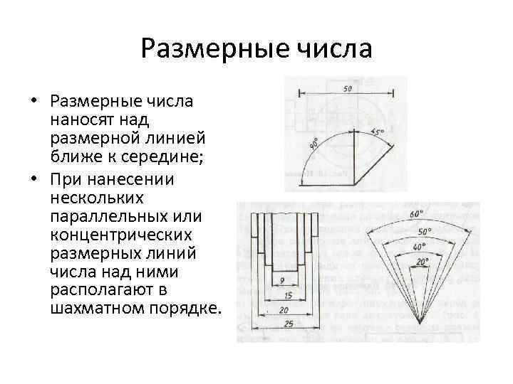 Размерные числа • Размерные числа наносят над размерной линией ближе к середине; • При