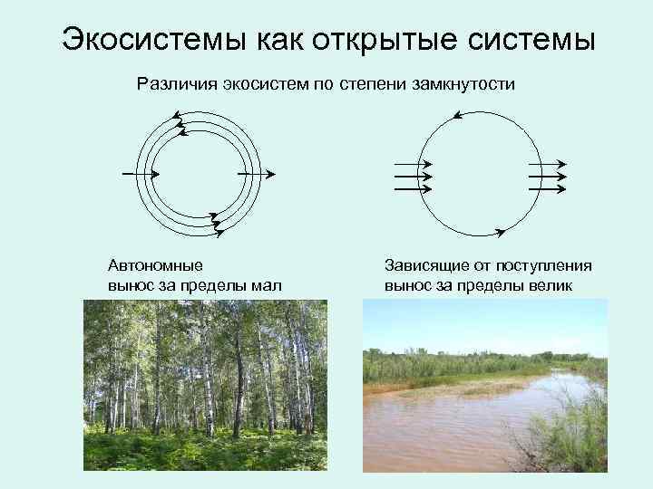 Экосистемы как открытые системы Различия экосистем по степени замкнутости Автономные вынос за пределы мал