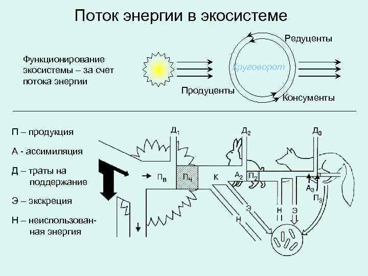 Схема потока энергии