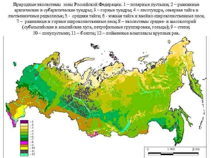 Карта природной зоны тайга