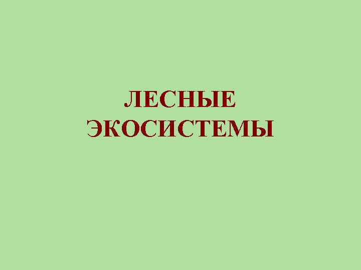 ЛЕСНЫЕ ЭКОСИСТЕМЫ 