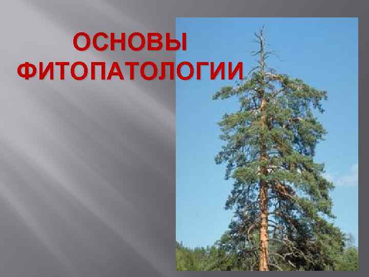 ОСНОВЫ ФИТОПАТОЛОГИИ 