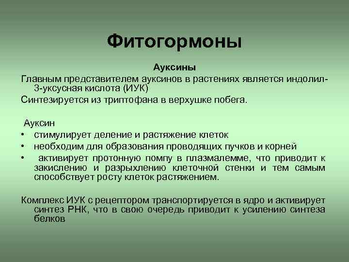 Фитогормоны Ауксины Главным представителем ауксинов в растениях является индолил 3 -уксусная кислота (ИУК) Синтезируется