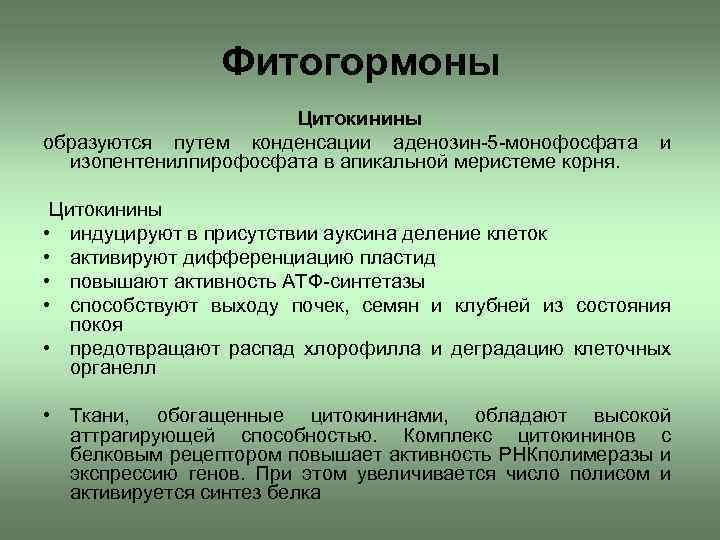 Фитогормоны Цитокинины образуются путем конденсации аденозин-5 -монофосфата изопентенилпирофосфата в апикальной меристеме корня. и Цитокинины