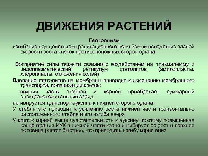 ДВИЖЕНИЯ РАСТЕНИЙ Геотропизм изгибание под действием гравитационного поля Земли вследствие разной скорости роста клеток