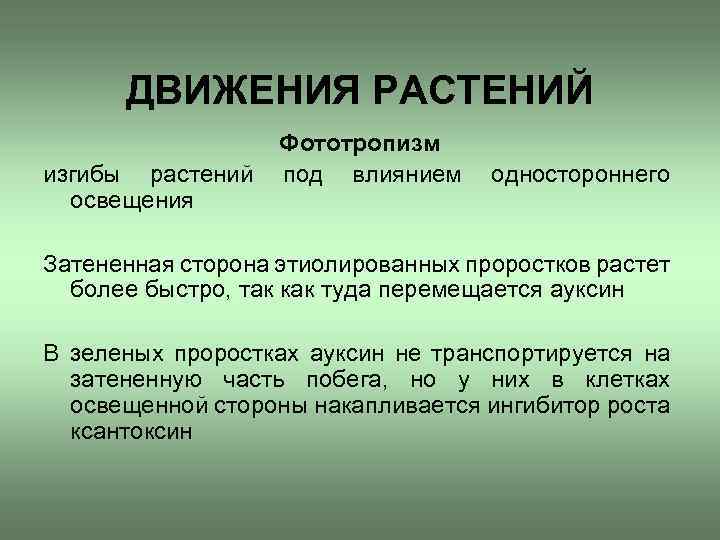 ДВИЖЕНИЯ РАСТЕНИЙ изгибы растений освещения Фототропизм под влиянием одностороннего Затененная сторона этиолированных проростков растет