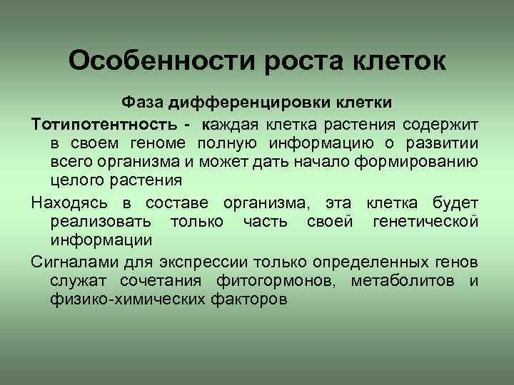 Особенности роста клеток Фаза дифференцировки клетки Тотипотентность - каждая клетка растения содержит в своем