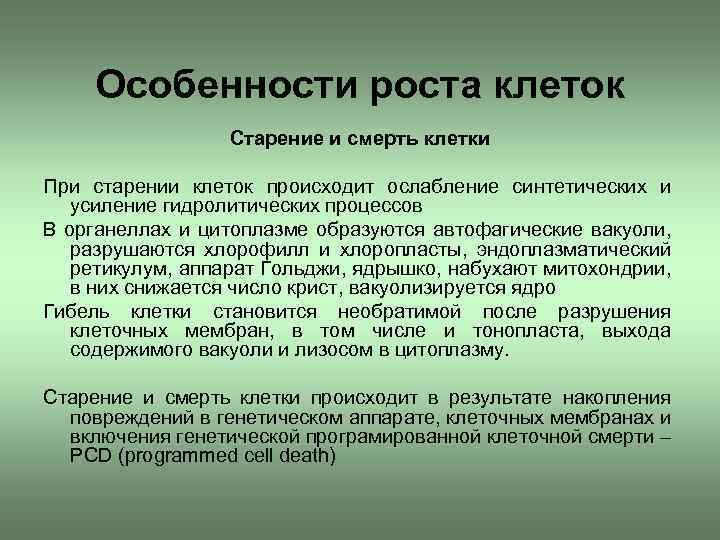 Особенности роста