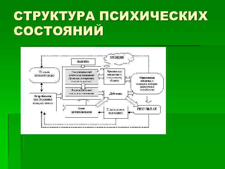 В структуру психики входят