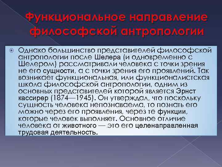 Функциональное направление философской антропологии Однако большинство представителей философской антропологии после Шелера (и одновременно с