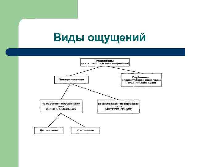 Виды ощущений 