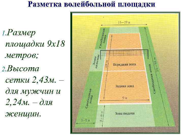Разметка волейбольной площадки 1. Размер площадки 9 х18 метров; 2. Высота сетки 2, 43