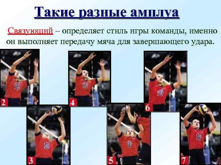 Такие разные амплуа Связующий – определяет стиль игры команды, именно он выполняет передачу мяча