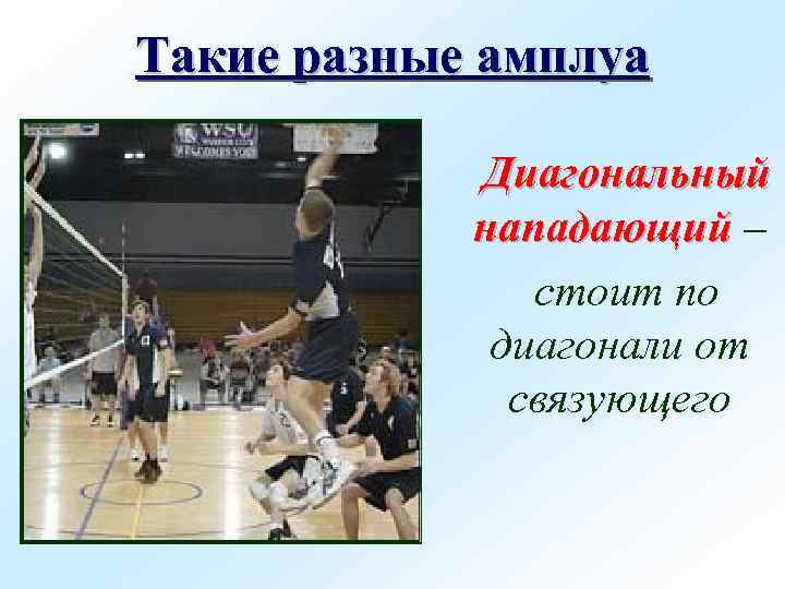 Такие разные амплуа Диагональный нападающий – стоит по диагонали от связующего 