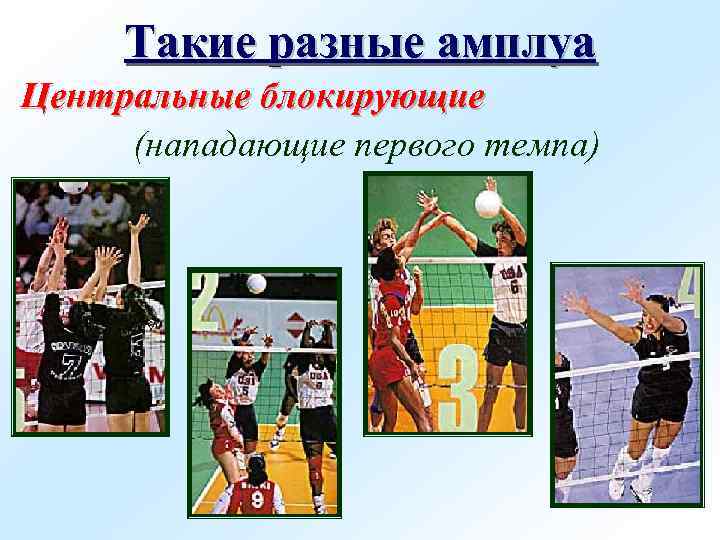 Такие разные амплуа Центральные блокирующие (нападающие первого темпа) 