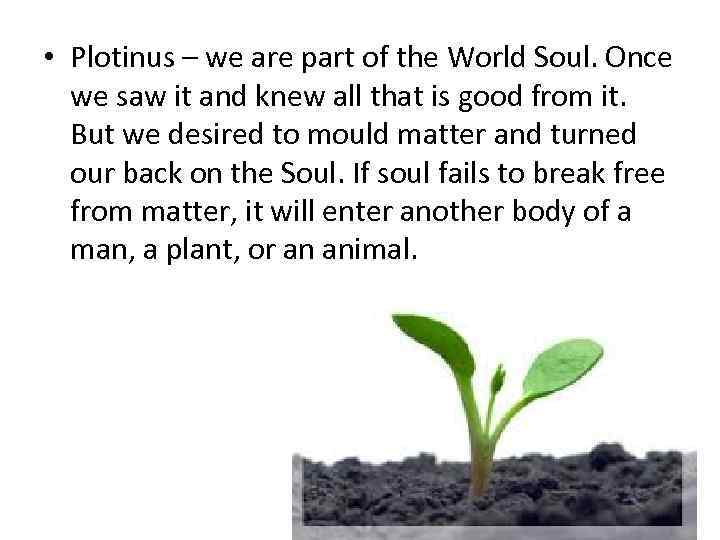  • Plotinus – we are part of the World Soul. Once we saw