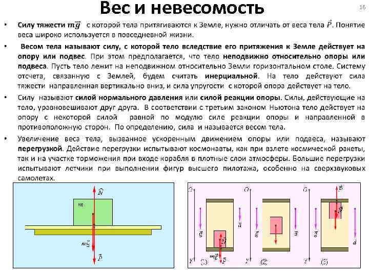  • Вес и невесомость 16 