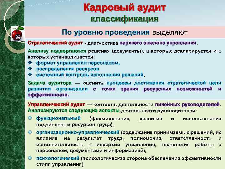 Кадровый аудит это. Кадровый аудит. Классификация кадрового аудита. Уровни проведения кадрового аудита. Субъекты кадрового аудита.