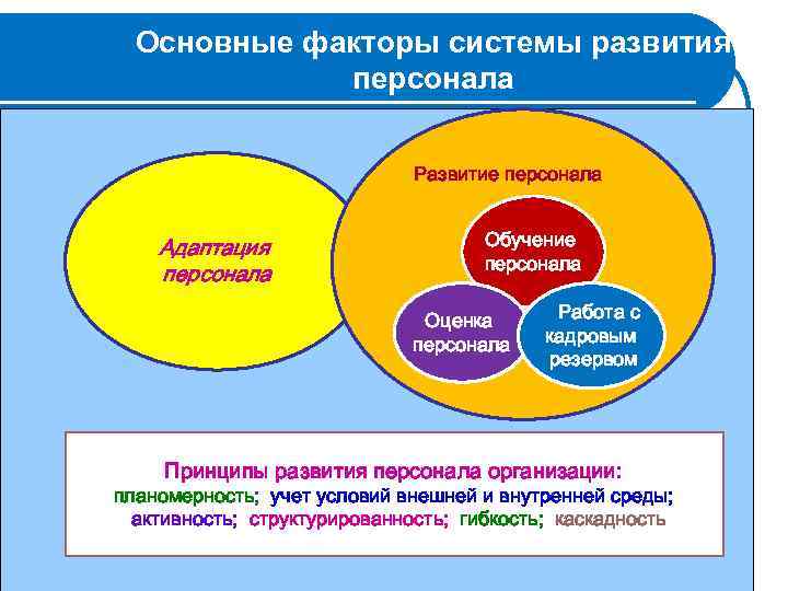 Основные факторы системы развития персонала Развитие персонала Адаптация персонала Обучение персонала Оценка персонала Работа