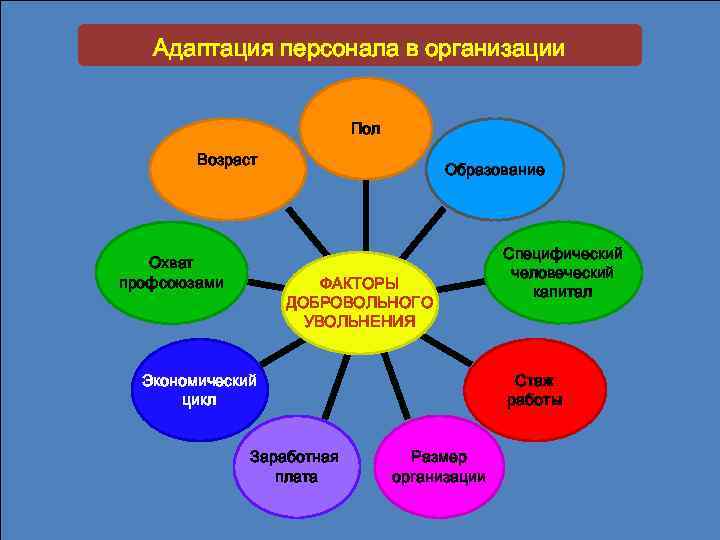 Адаптация персонала в организации Пол Возраст Охват профсоюзами Образование ФАКТОРЫ ДОБРОВОЛЬНОГО УВОЛЬНЕНИЯ Экономический цикл