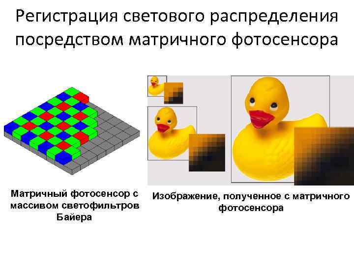Регистрация светового распределения посредством матричного фотосенсора Матричный фотосенсор с массивом светофильтров Байера Изображение, полученное
