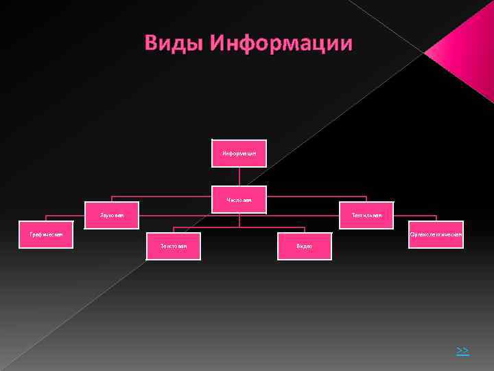  Виды Информации Информация Числовая Звуковая Тактильная Графическая Органолептическая Текстовая Видео >> 