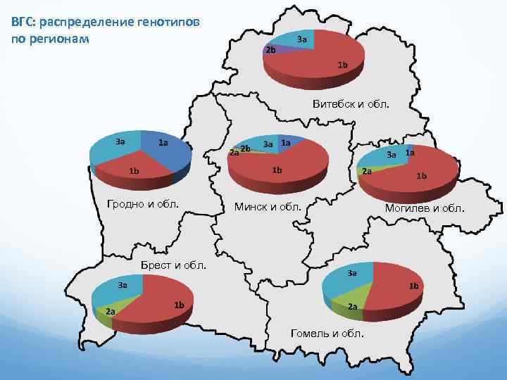 ВГС: распределение генотипов по регионам Витебск и обл. Гродно и обл. Минск и обл.