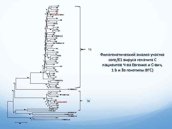  514 41 94 239 54. 248** 59 Samoilovich 610 Mn 66 241 249