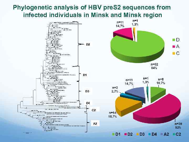 Phylogenetic analysis of HBV pre. S 2 sequences from infected individuals in Minsk and